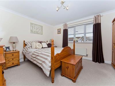Picture 14